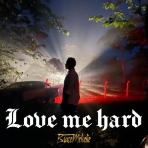Bruce Melodie love hard free mp3 Download